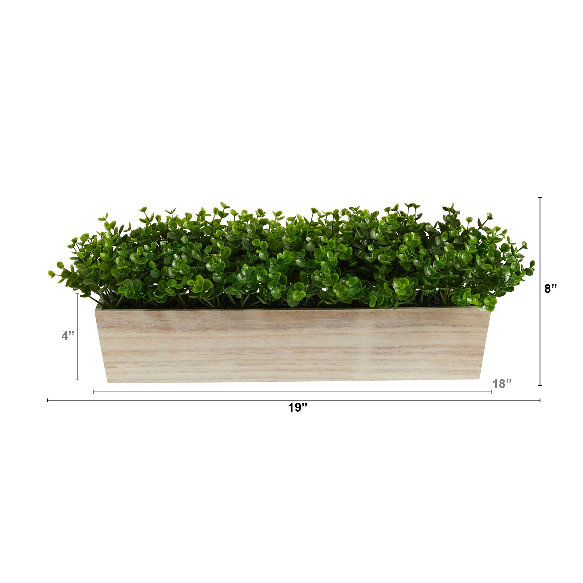 8" Eucalyptus in Decorative Planter